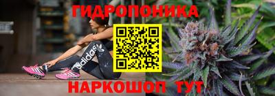 индика Заволжье