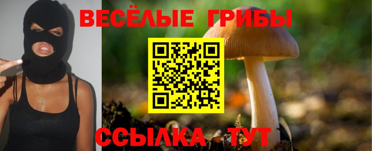 Галлюциногенные грибы MAGIC MUSHROOMS  закладки  Минусинск  Вход с VPN 